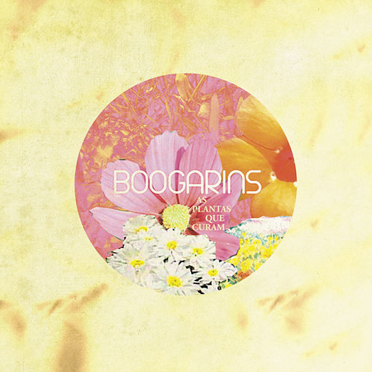 As plantas que curam - Boogarins