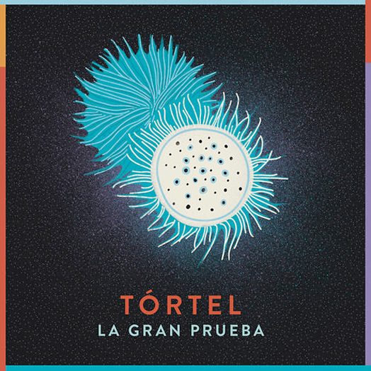 Tórtel avanza su nuevo material