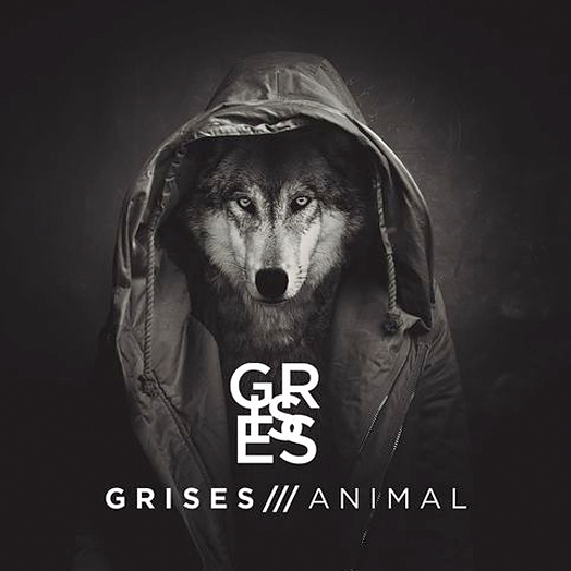 Animal - Grises