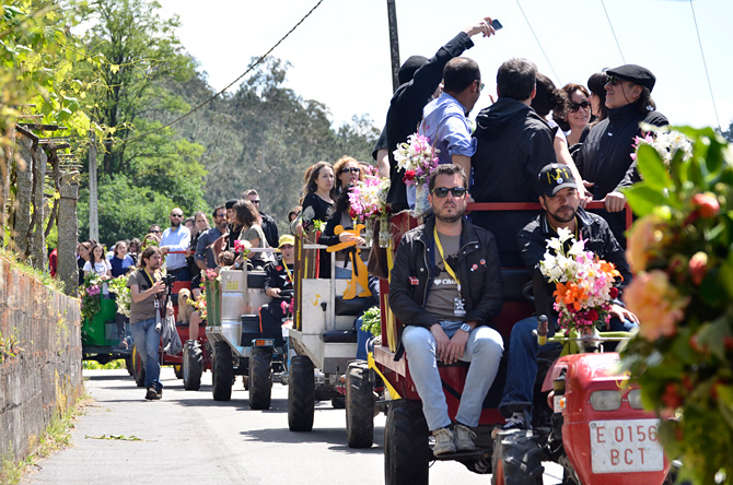 Festival de Cans