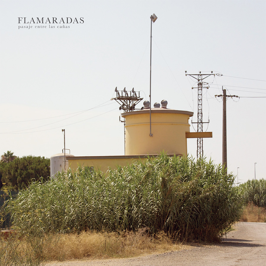 Pasaje entre las cañas - Flamaradas