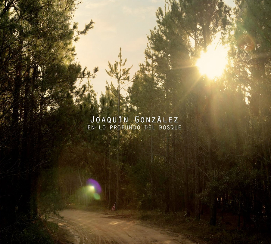 En lo profundo del bosque - Joaquín González