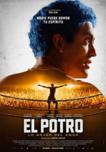 El Potro