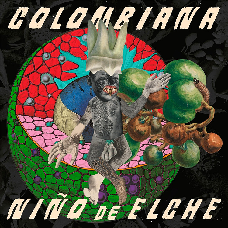 Niño de Elche Colombiana