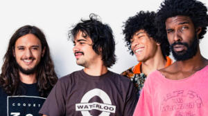 Boogarins