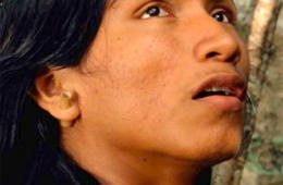 El canto de la selva
