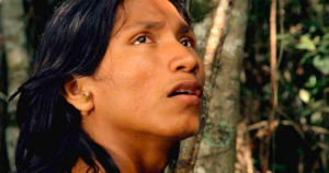 El canto de la selva