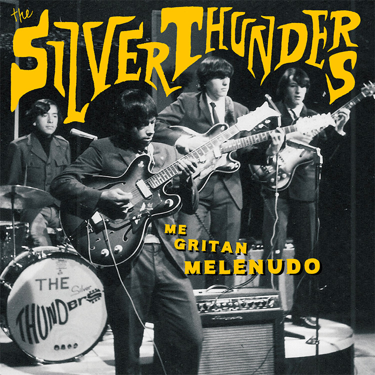 The Silver Thunders