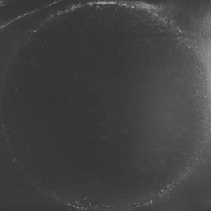 Triángulo de Amor Bizarro Triángulo de Amor Bizarro