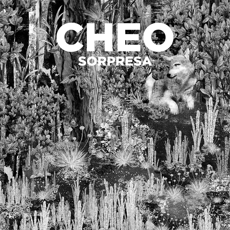 Cheo Sorpresa