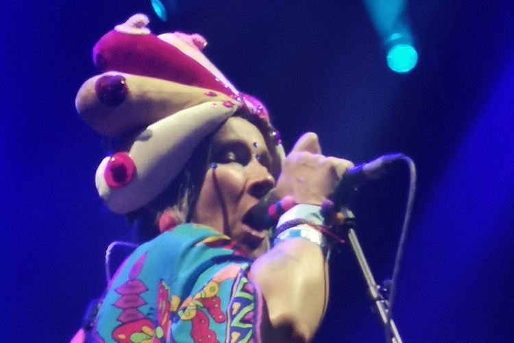 Vive Latino – Aterciopelados